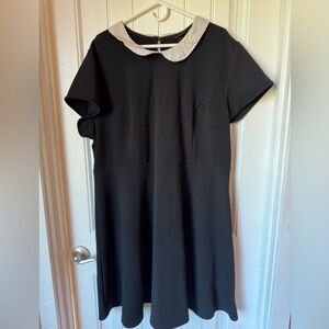 Torrid Black Dress with White Collar